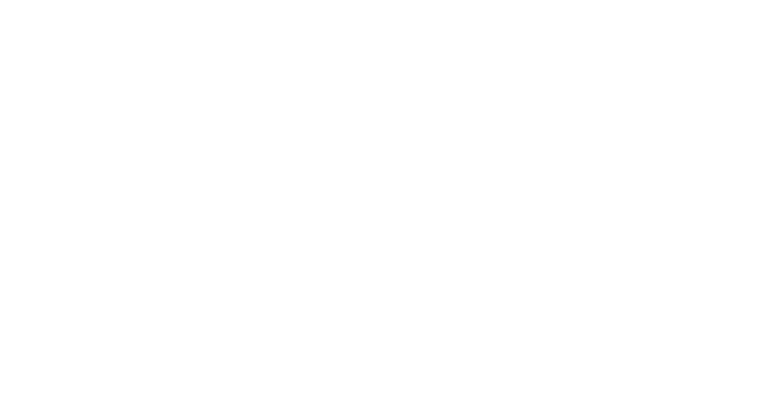 Alinox Solutions Group